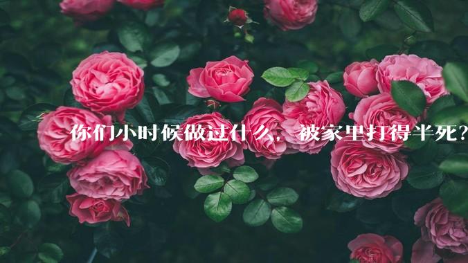 你们小时候做过什么，被家里打得半死？